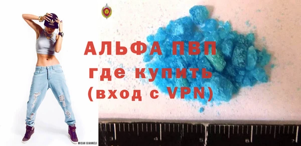 МДПВ Ельня