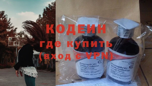 МДПВ Ельня