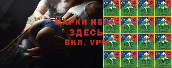 МДПВ Ельня