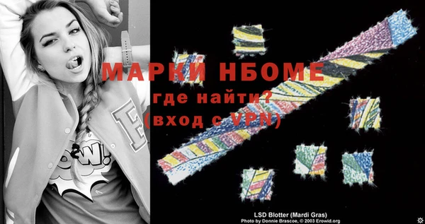 МДПВ Ельня