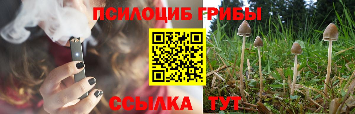Галлюциногенные грибы мицелий  Вход с VPN  Псилоцибиновые грибы GOLDEN TEACHER  Коряжма 