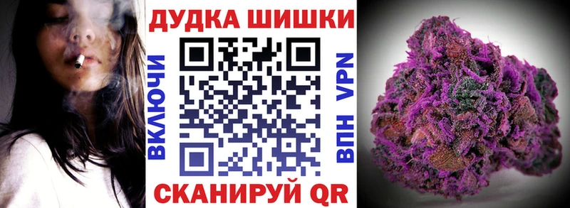 Бошки Шишки семена  Коряжма 