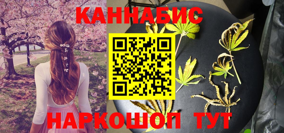 Марихуана сатива Коряжма